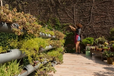 Por que os proprietários do sudeste asiático preferem ferramentas de jardim sem fio